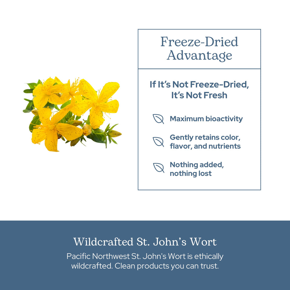 Eclectic Institute freeze-dried St. John's Wort representation showcases premium quality.
