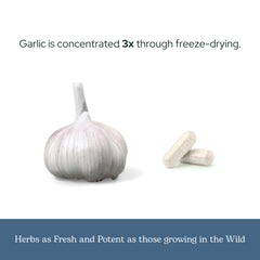 ECLECTIC INSTITUTE vegan non-GMO gluten-free supplement label.