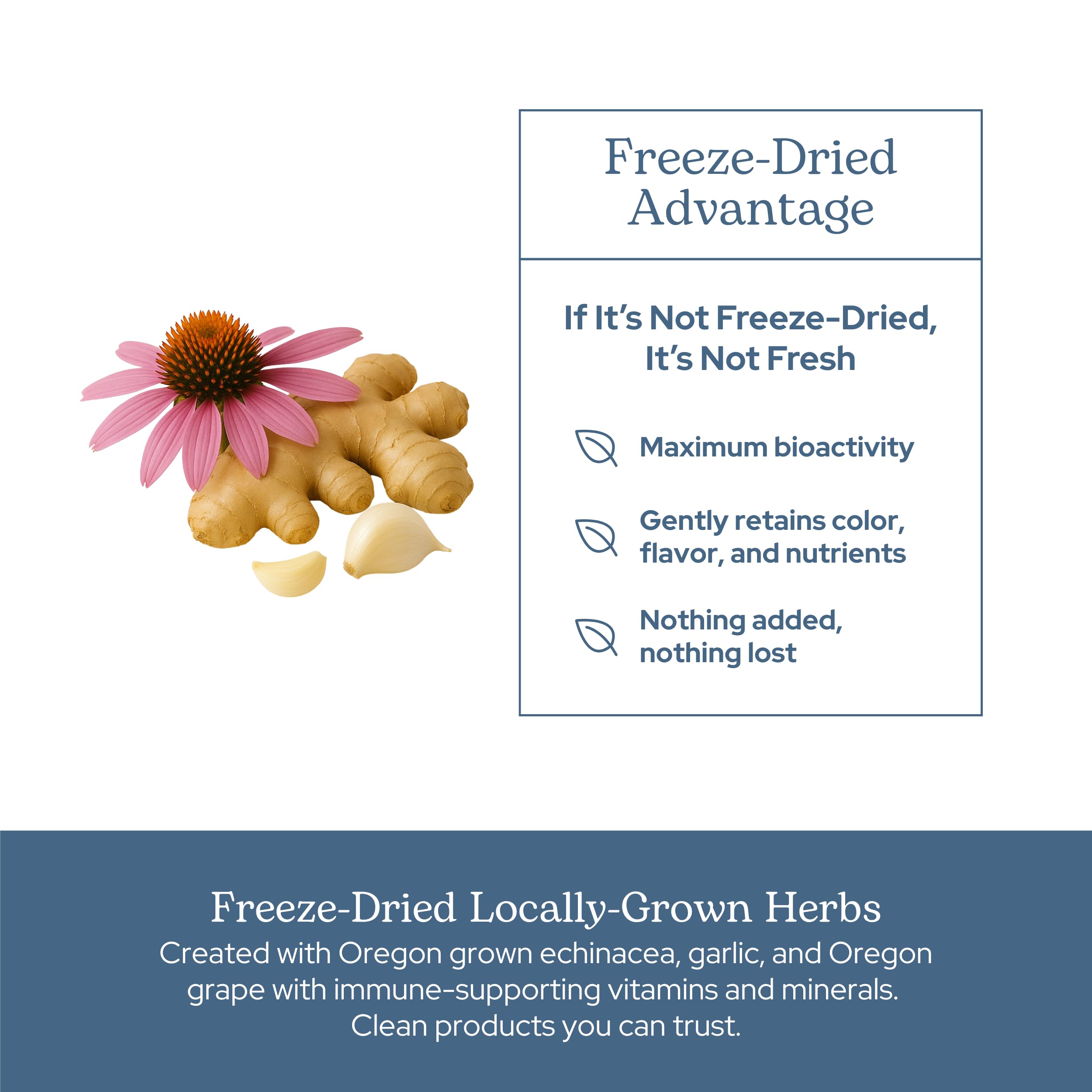 Eclectic Institute Vitabiotic freeze-dried Oregon-grown herbs image for natural vitality.
