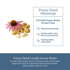 Eclectic Institute Vitabiotic freeze-dried Oregon-grown herbs image for natural vitality.