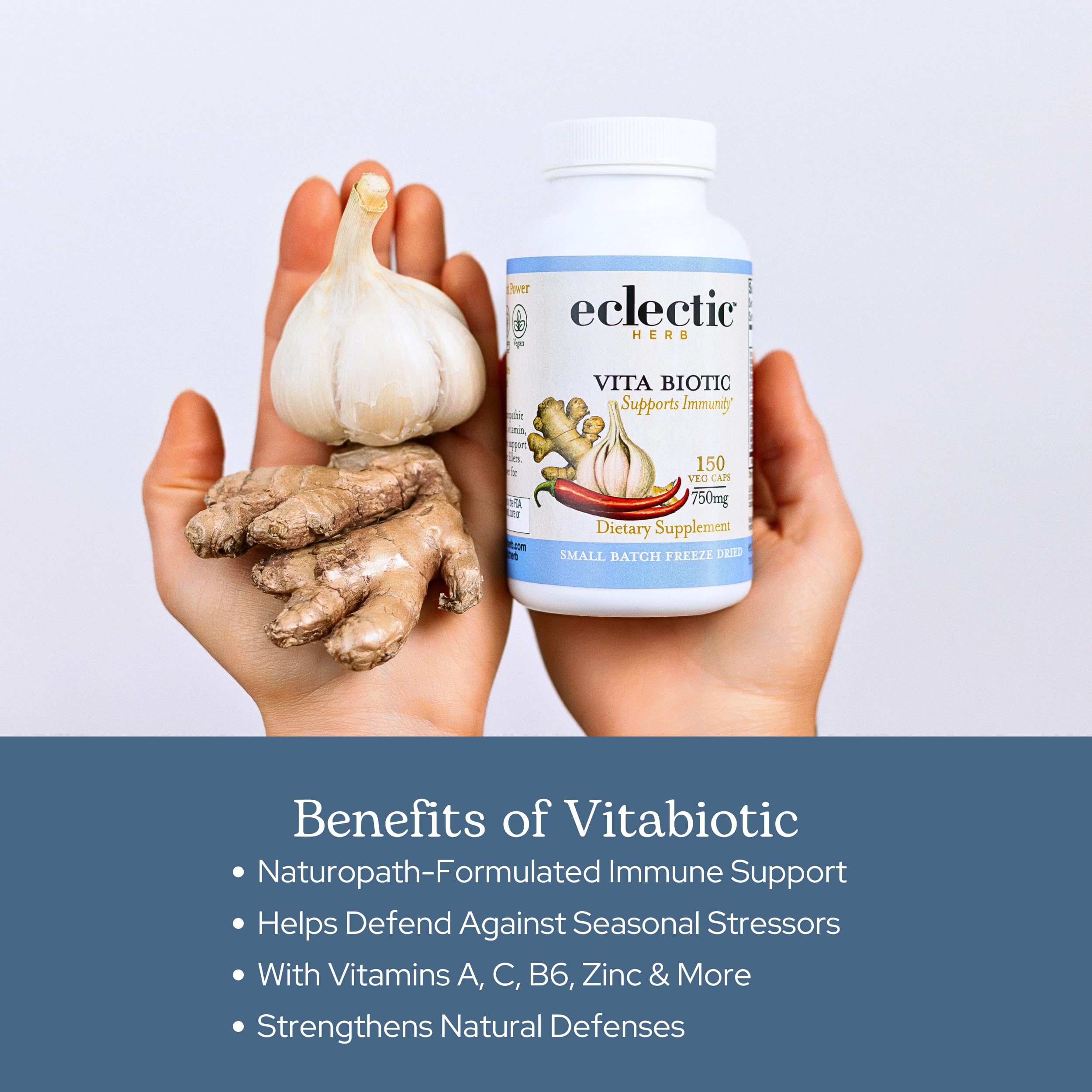 Eclectic Institute Vitabiotic ingredients list featuring echinacea and garlic for immune resilience.