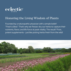 Eclectic Institute Vitabiotic natural wellness vibe with fresh herbs in background.