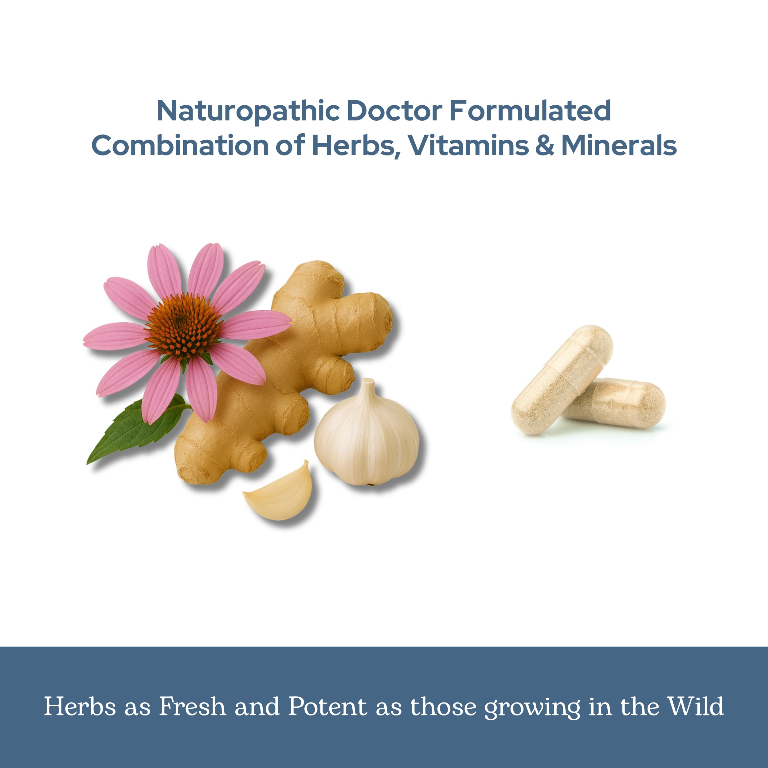 Eclectic Institute Vitabiotic packaging shows kosher, gluten-free, vegan attributes.