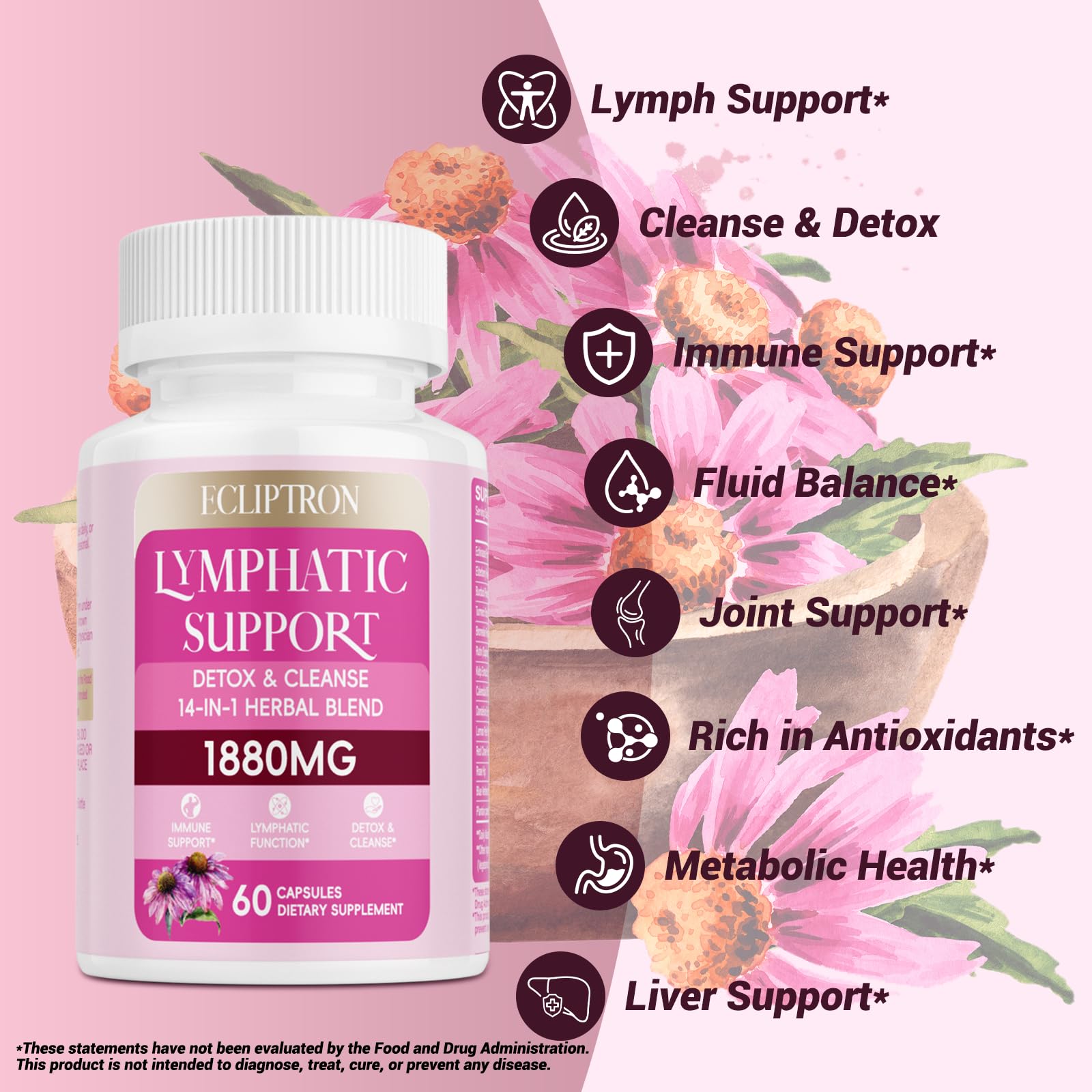 Ecliptron ingredients label close-up showing echinacea and dandelion for antioxidant support.