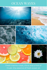 Eco Candle Co Ocean Waves scent notes blend marine citrus for fresh ambiance.