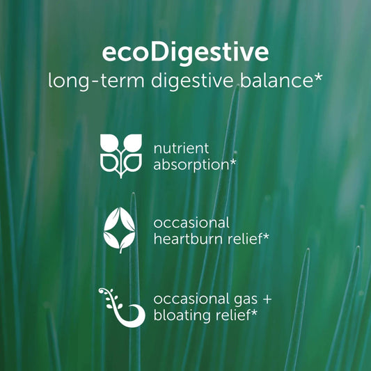 EcoDigest organic ginger root highlights soothing digestive support