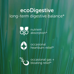 EcoDigest organic ginger root highlights soothing digestive support