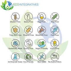 EcoIntegratives B2-400 label highlights vegan, non-GMO formula for clean supplementation