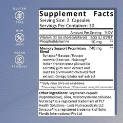 EcoNugenics Memory Boost Ginkgo biloba extract shot signals cognitive function support