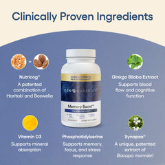 EcoNugenics Memory Boost Synapsa Bacopa ingredient closeup highlighting memory support