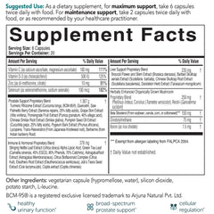 EcoNugenics ProstaCaid key ingredients graphic featuring turmeric and saw palmetto