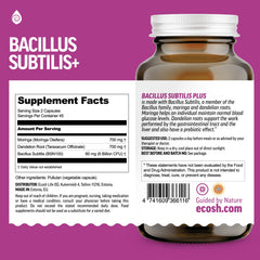 ecosh bacillus subtilis spores family wellness routine for gut balance