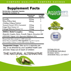 ecostream Naturals InflamEase ginger root enzymes close-up