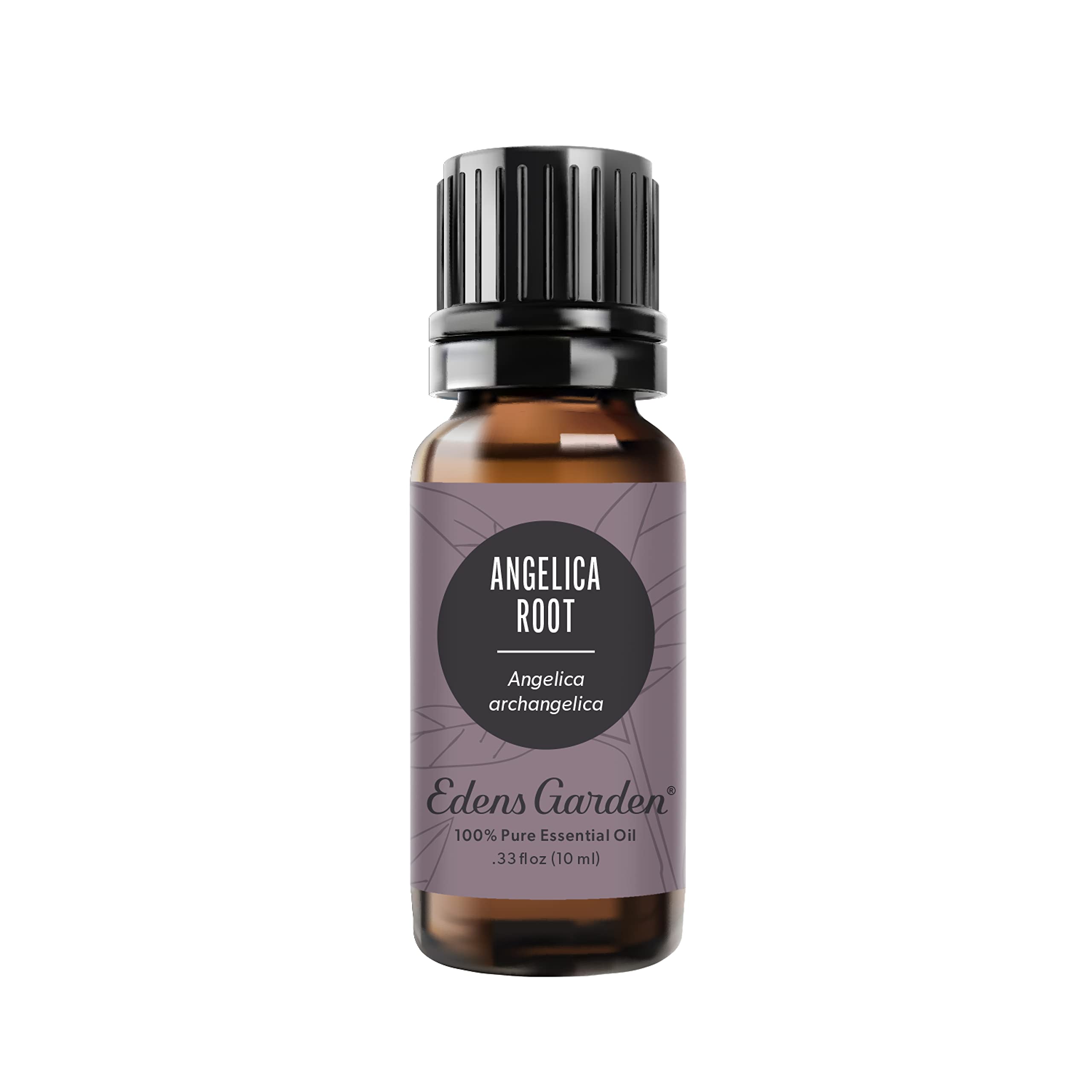 Edens Garden Angelica Root Oil bottle for diffusers and aromatherapy.