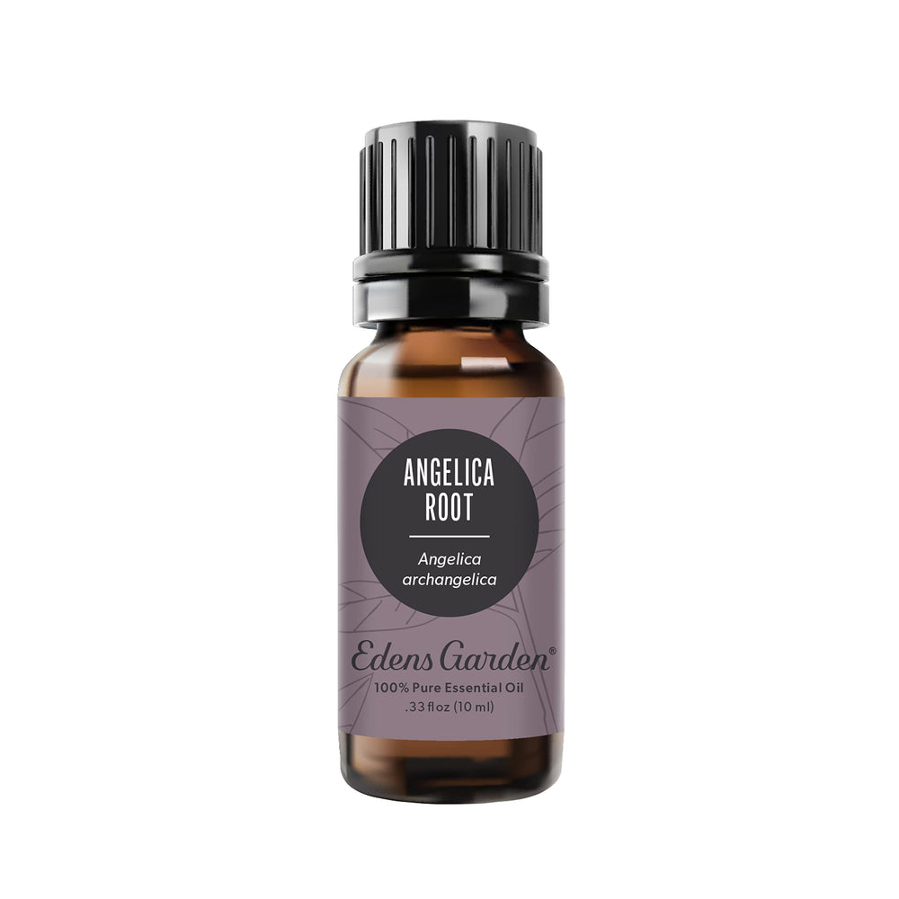 Edens Garden Angelica Root Oil bottle for diffusers and aromatherapy.