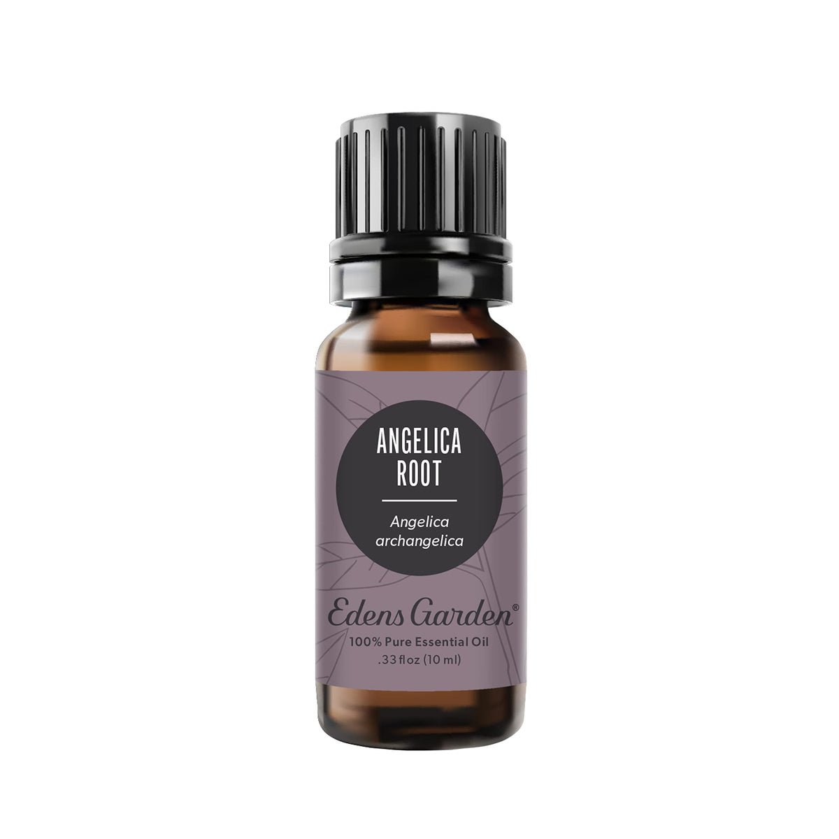 Edens Garden Angelica Root Oil bottle for diffusers and aromatherapy.
