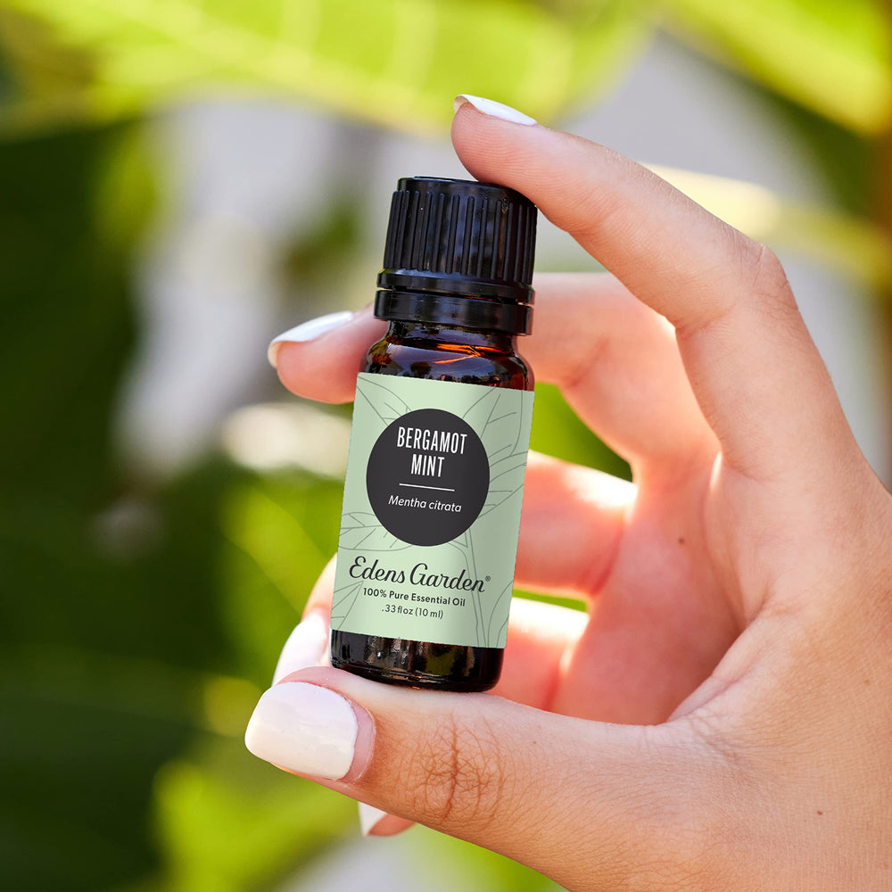Edens Garden Bergamot Mint diffuser drops setup releasing energizing scent.
