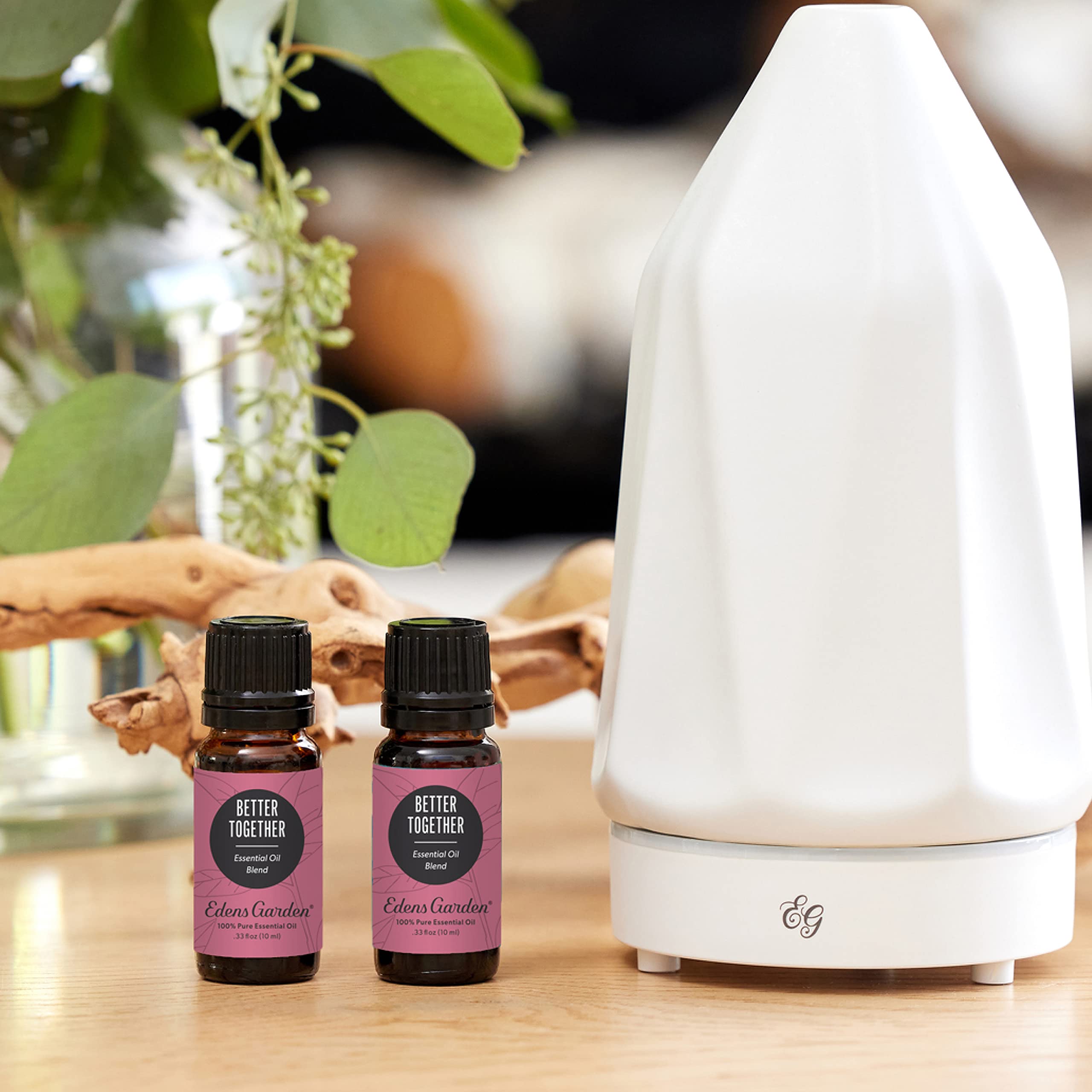 Edens Garden Better Together diffuser drops capture layered aromas for mood uplift.