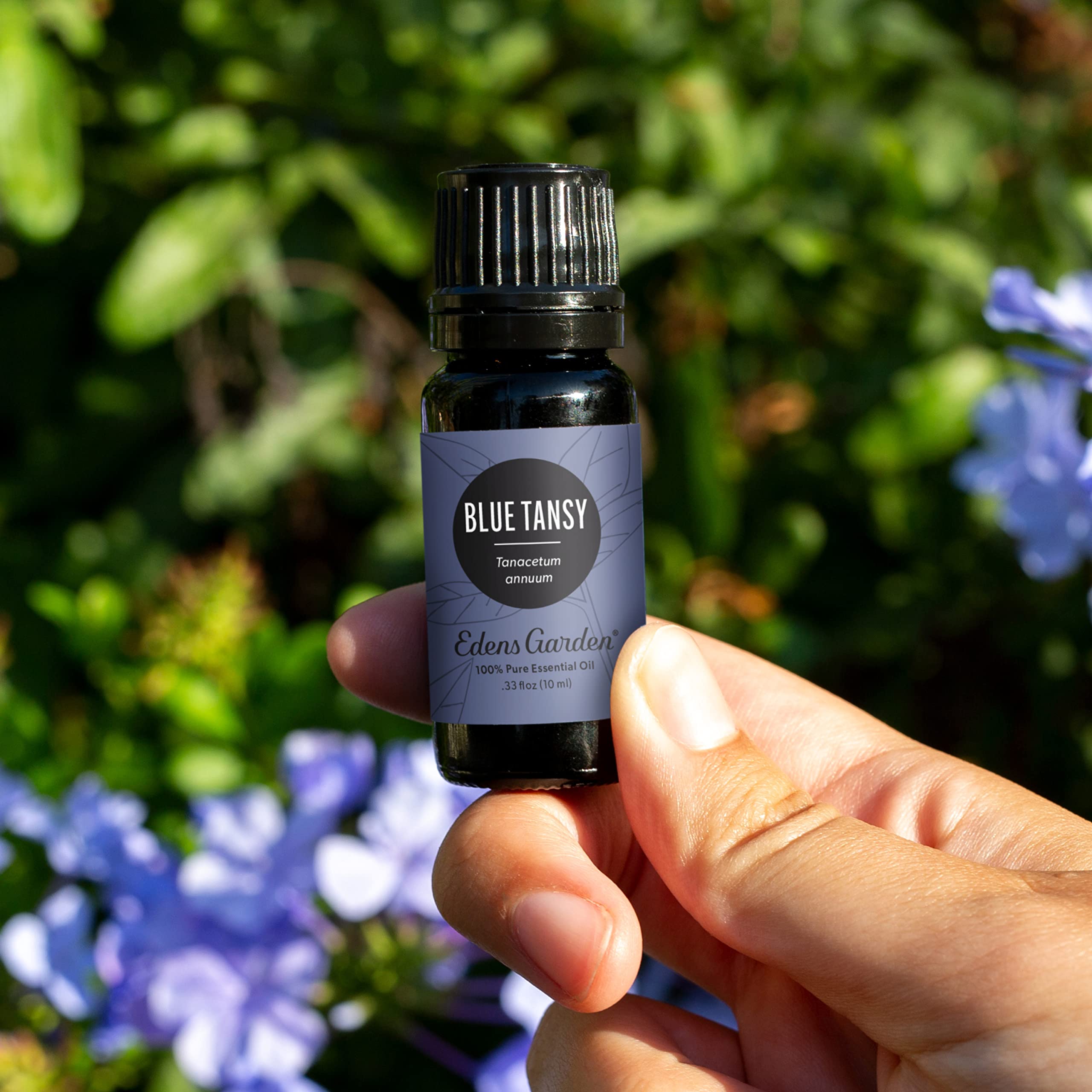 Edens Garden Blue Tansy oil label shows premium grade and purity.