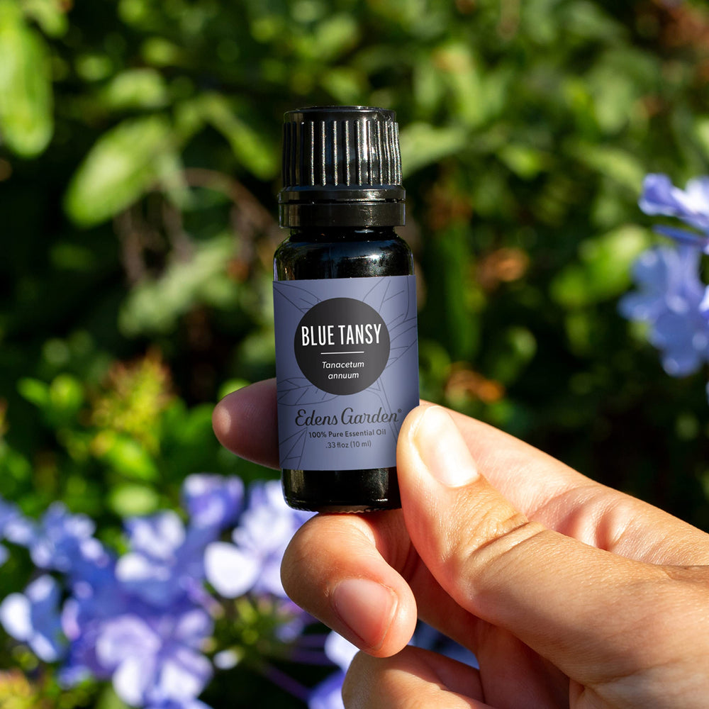 Edens Garden Blue Tansy oil label shows premium grade and purity.