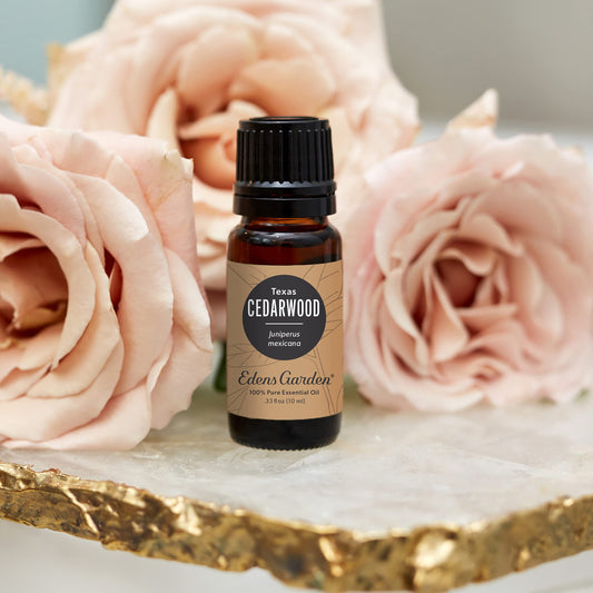 Diffuser session with Edens Garden Cedarwood Texas creates a soothing, woodsy atmosphere.