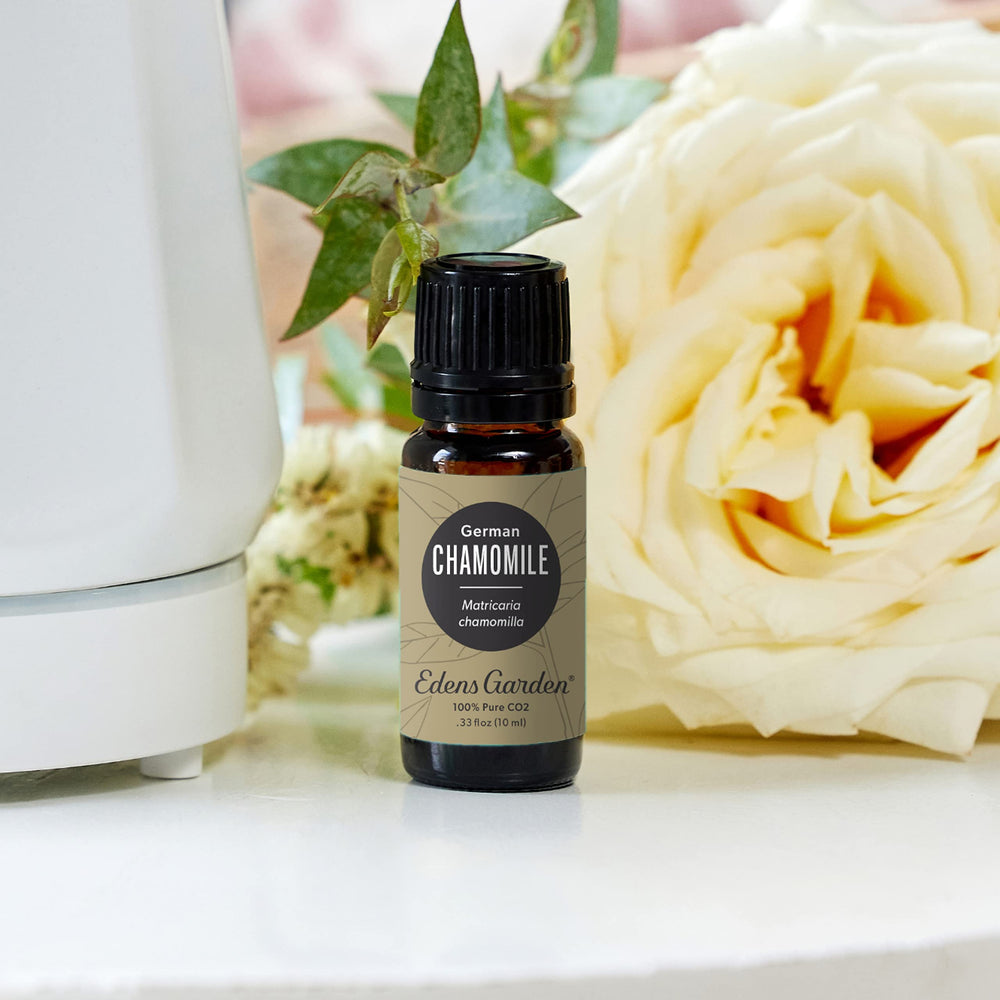 Edens Garden Chamomile CO2 diffuser session creates a calm, inviting atmosphere.