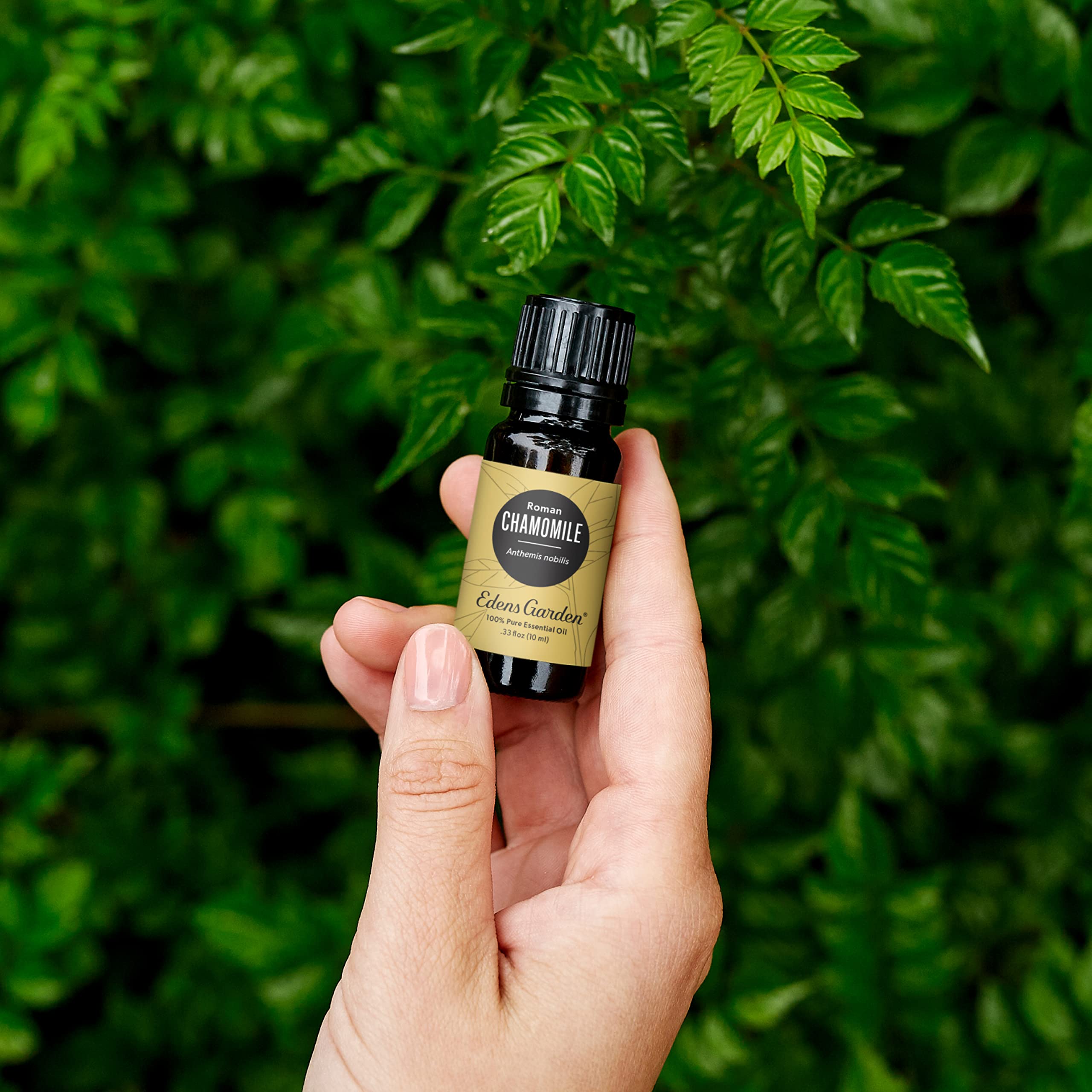 Edens Garden Chamomile Roman dropper for precise diffusion