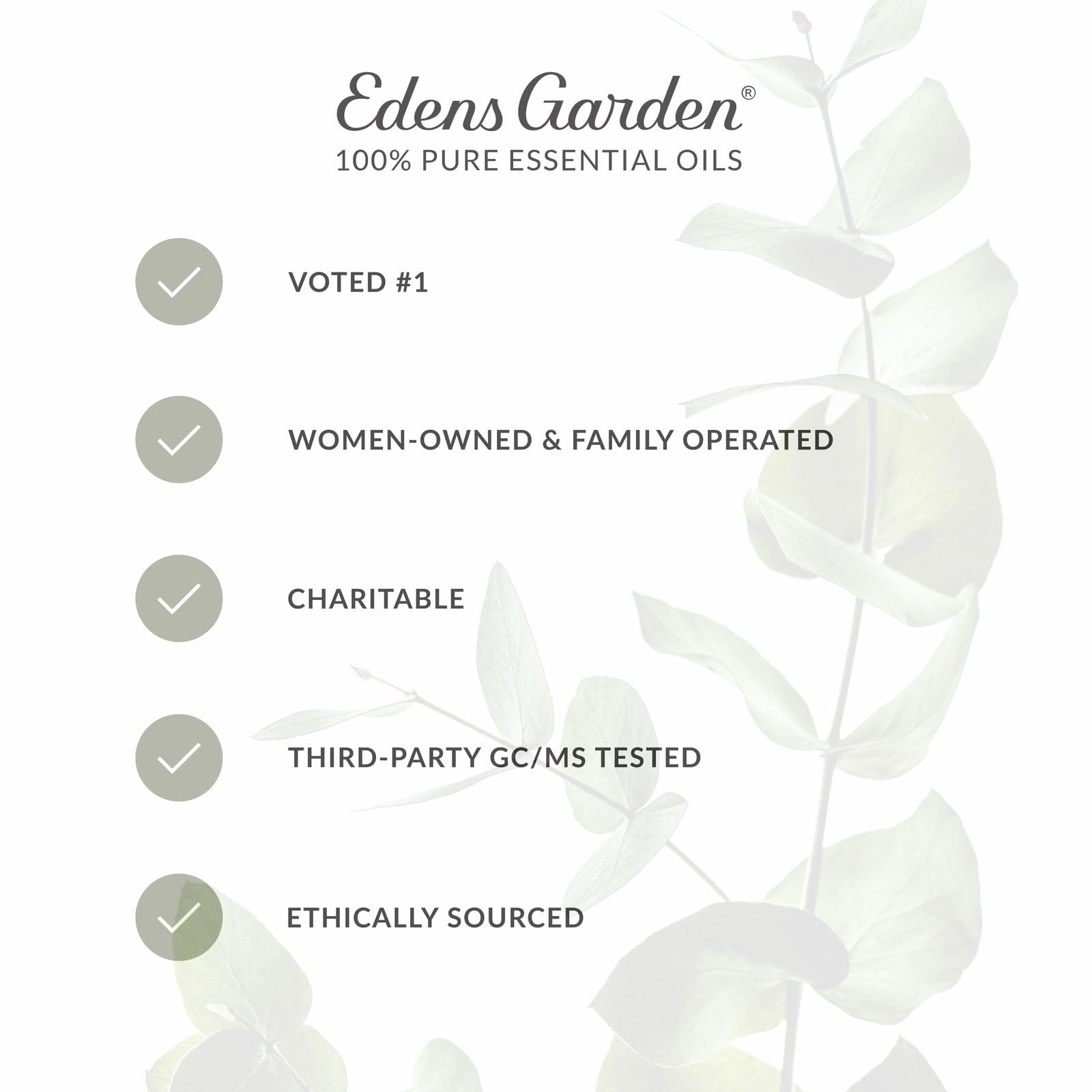 Edens Garden Cilantro oil bottle shown with diffuser setup.