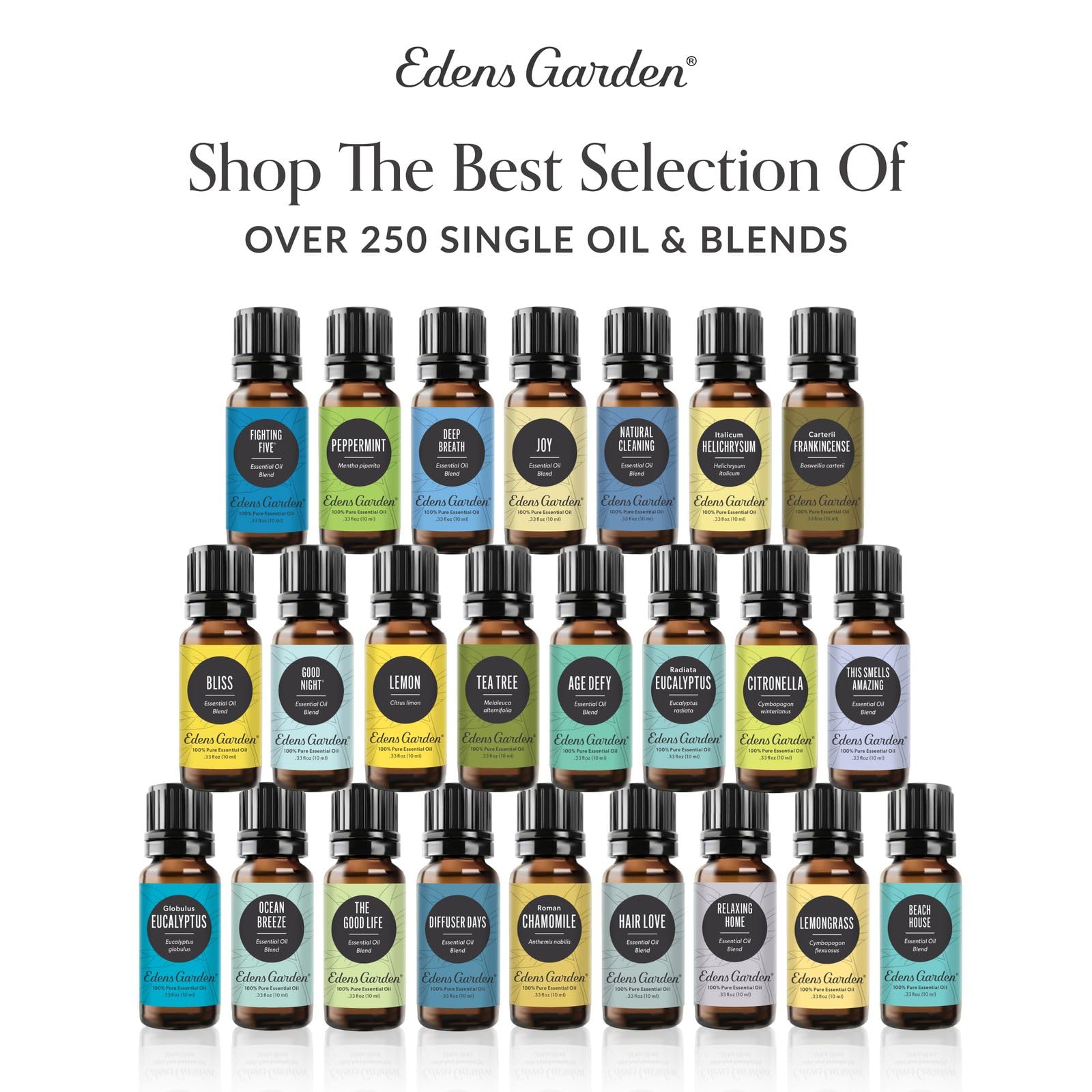 Edens Garden Cilantro oil suitable for gentle skin massage.