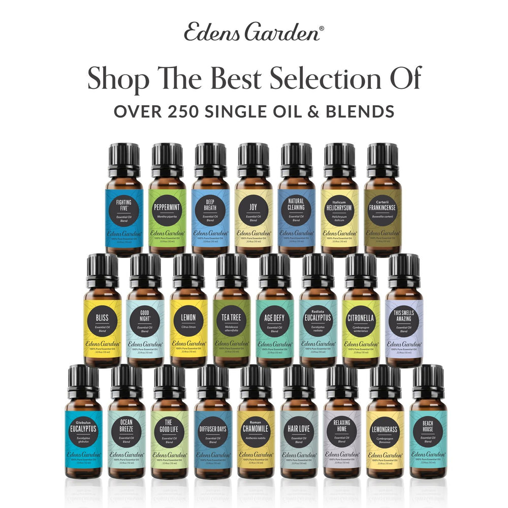 Edens Garden Cilantro oil suitable for gentle skin massage.