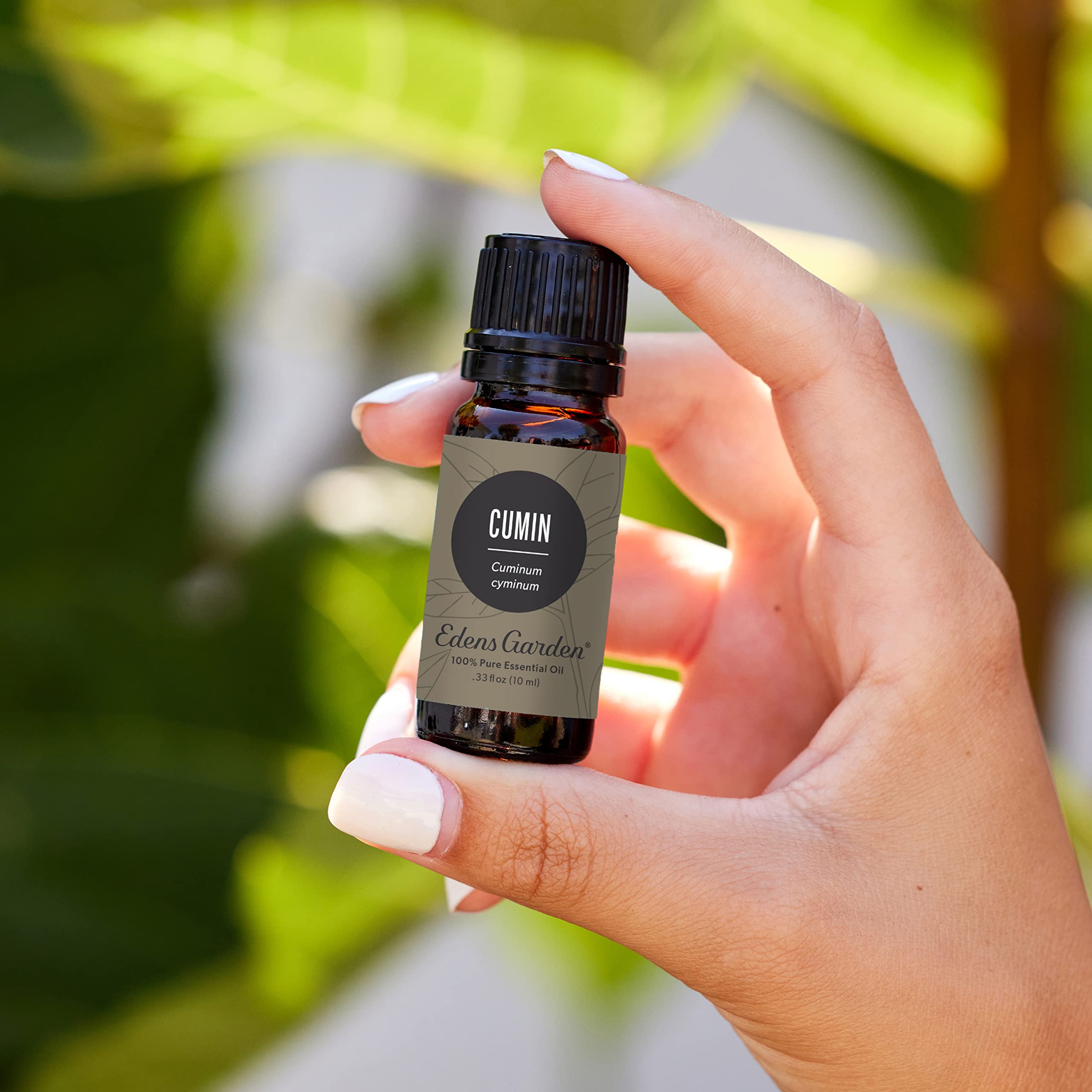 Close-up of Edens Garden cumin oil droplet highlighting rich aroma.