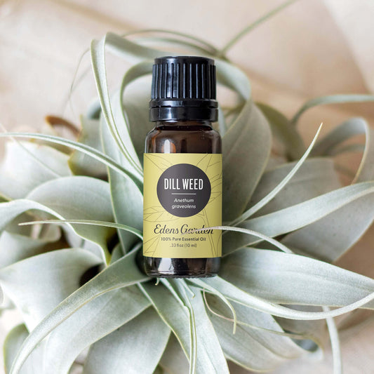 Edens Garden Dill Weed Oil label shows premium quality and natural sourcing.