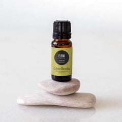 Close-up of Elemi aroma diffuser setup for calming sessions.