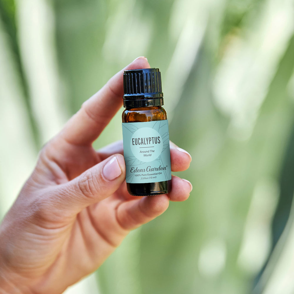 Edens Garden eucalyptus diffuser displaying calming aroma