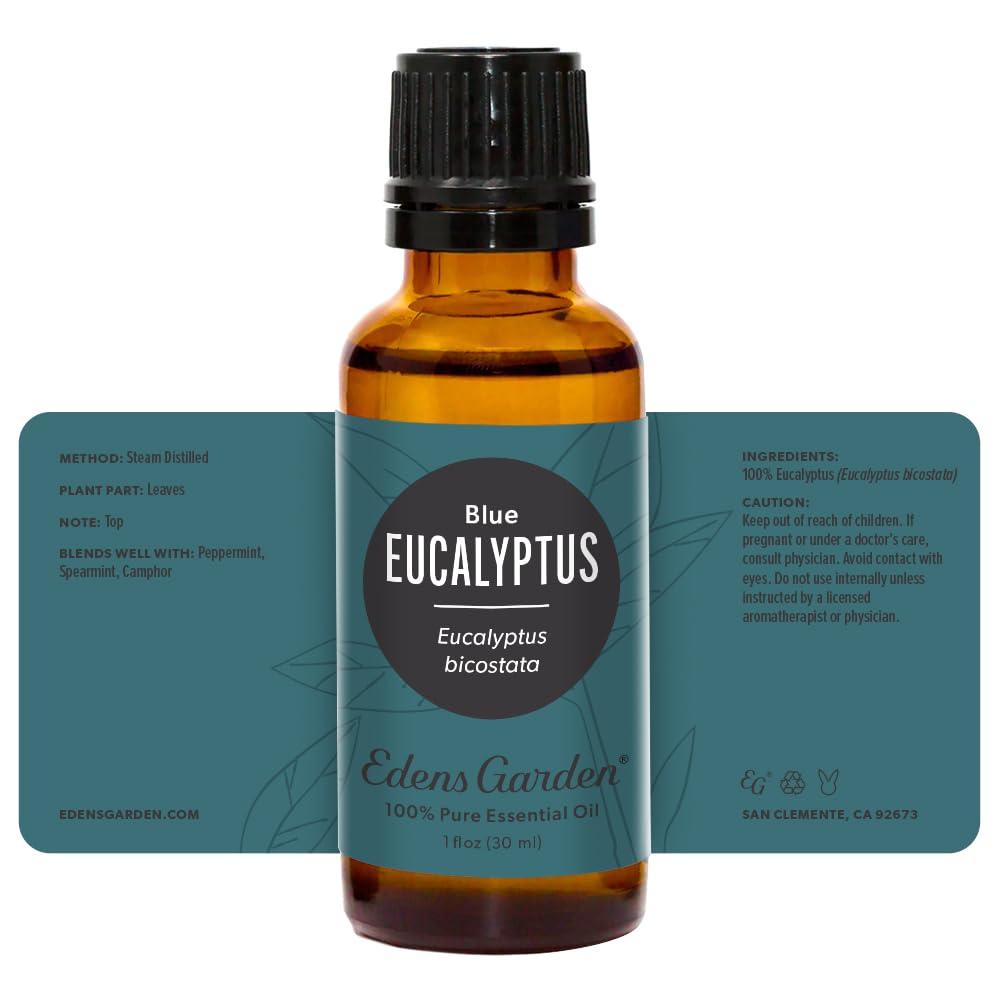Diffuser bowl releasing crisp Edens Garden Eucalyptus Blue scent