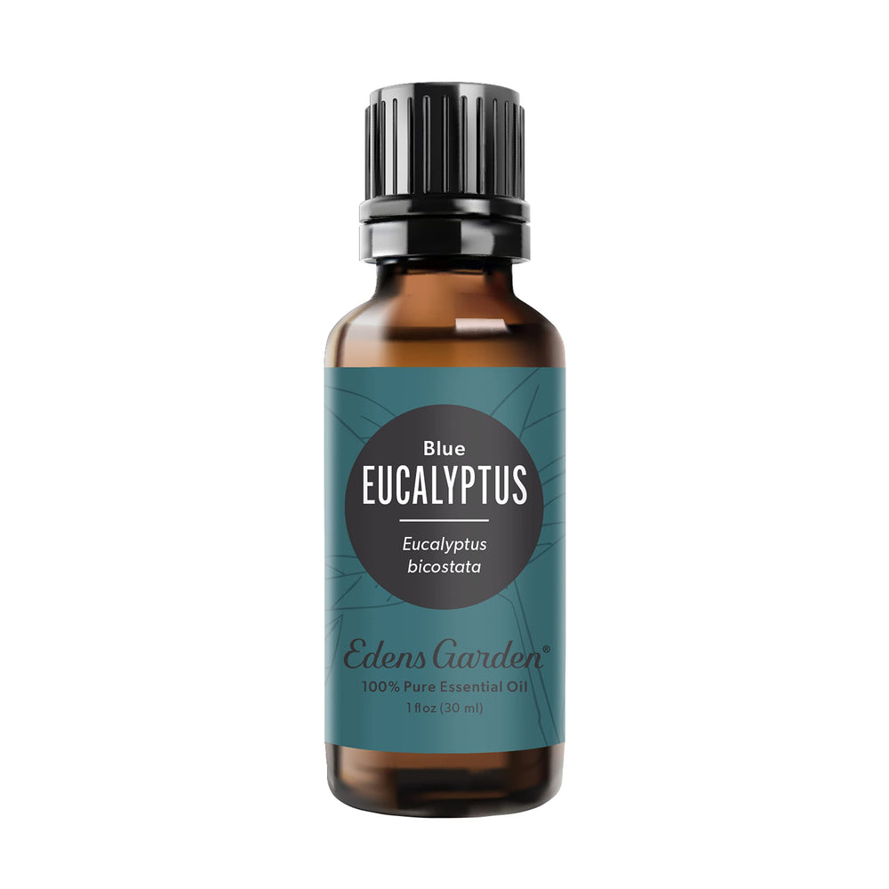 Edens Garden Eucalyptus Blue oil bottle ready for diffusion