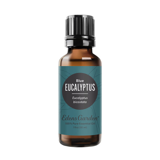 Edens Garden Eucalyptus Blue oil bottle ready for diffusion