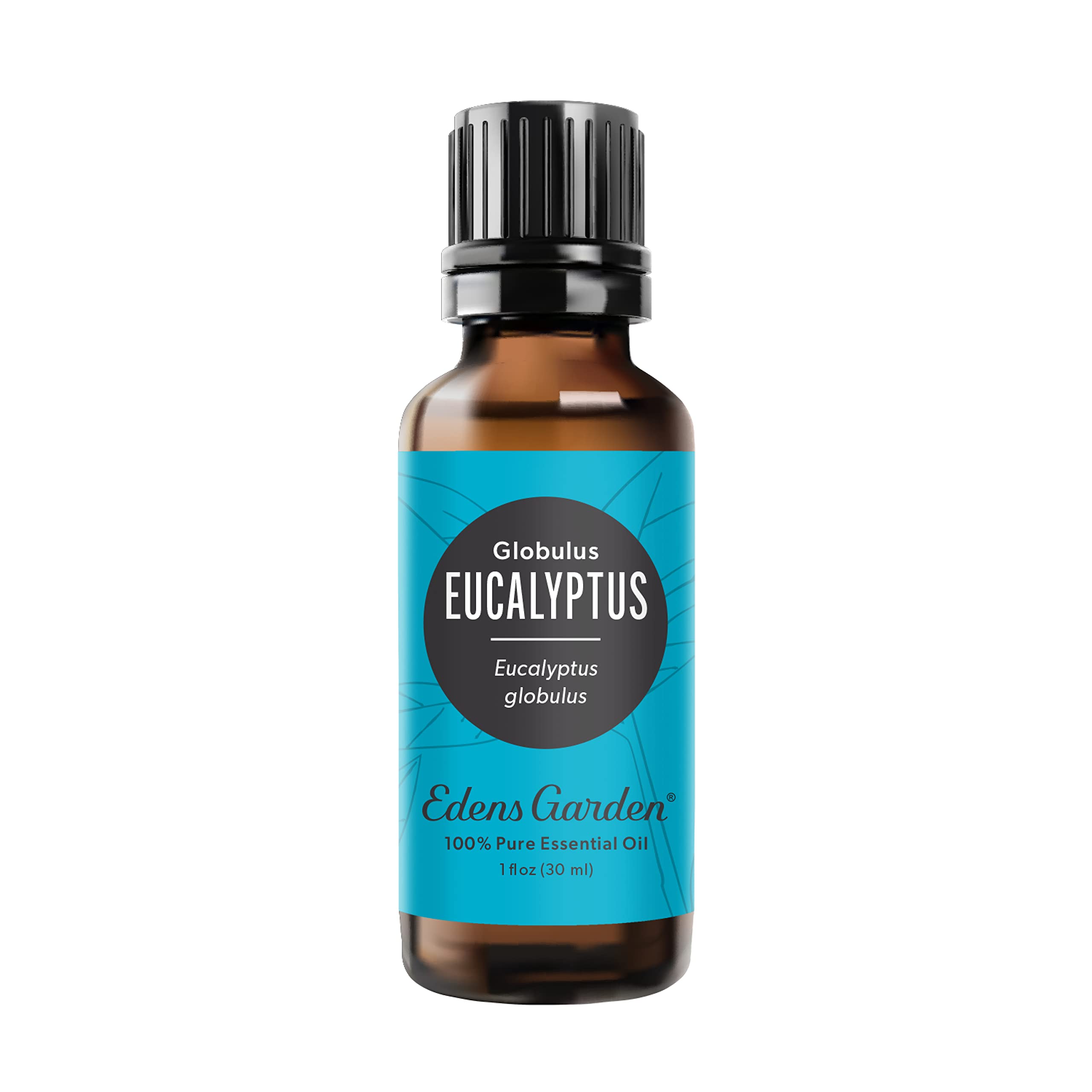Edens Garden Eucalyptus Globulus bottle with crisp aroma for diffusion