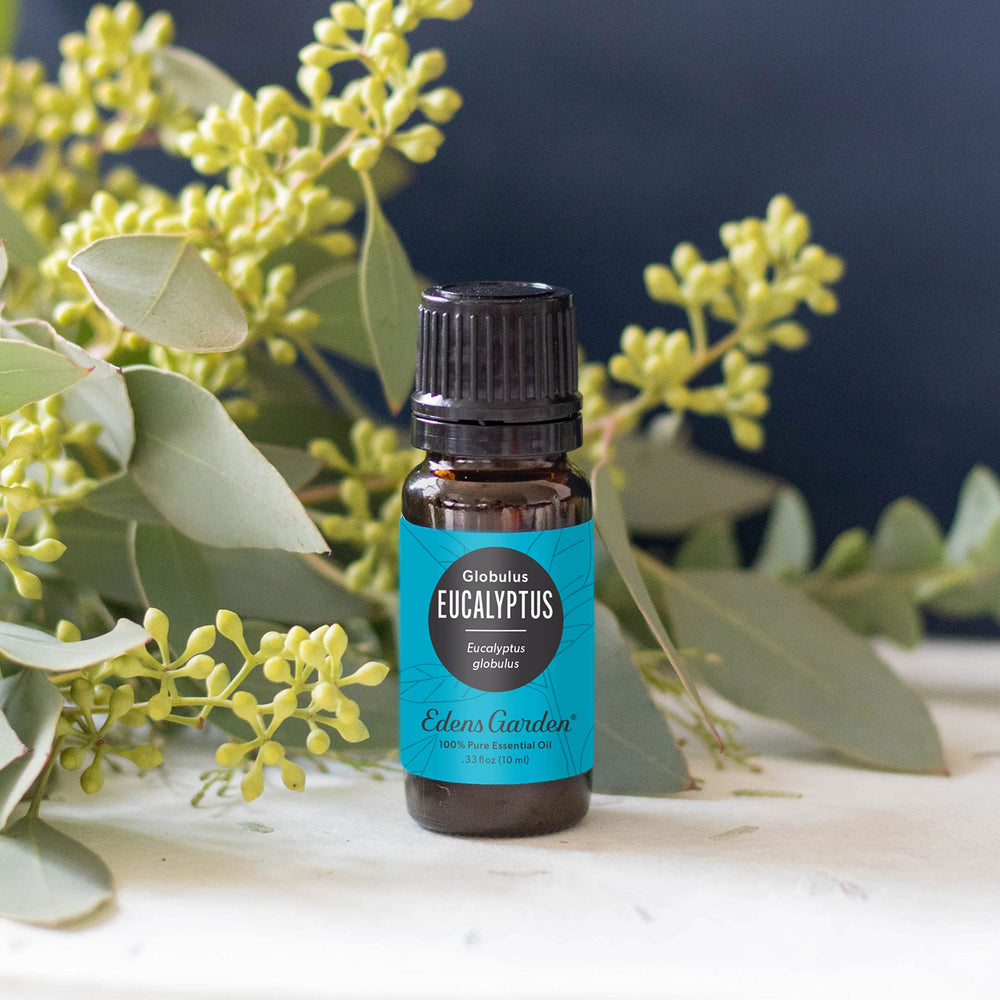 Steam inhalation scene with Edens Garden Eucalyptus Globulus for a refreshing moment