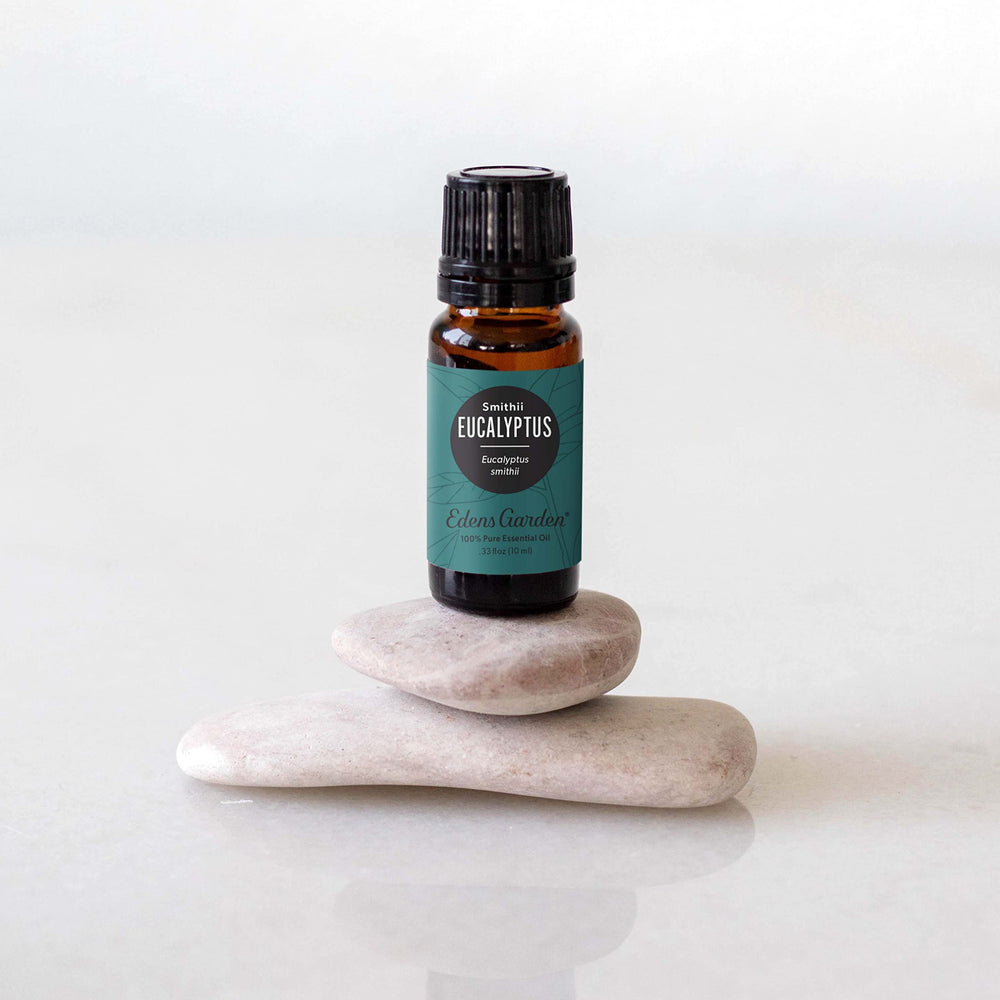 Edens Garden Eucalyptus Smithii diffuser setup in a calm living space.
