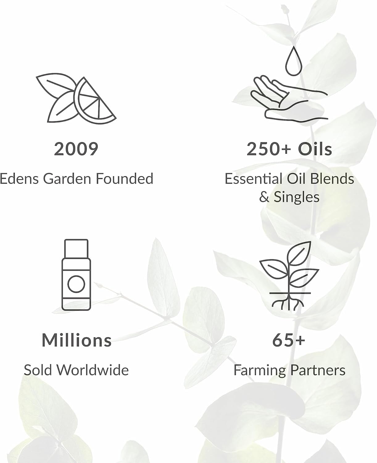Edens Garden Eucalyptus Smithii ready-to-dilute oil for gentle skin use.