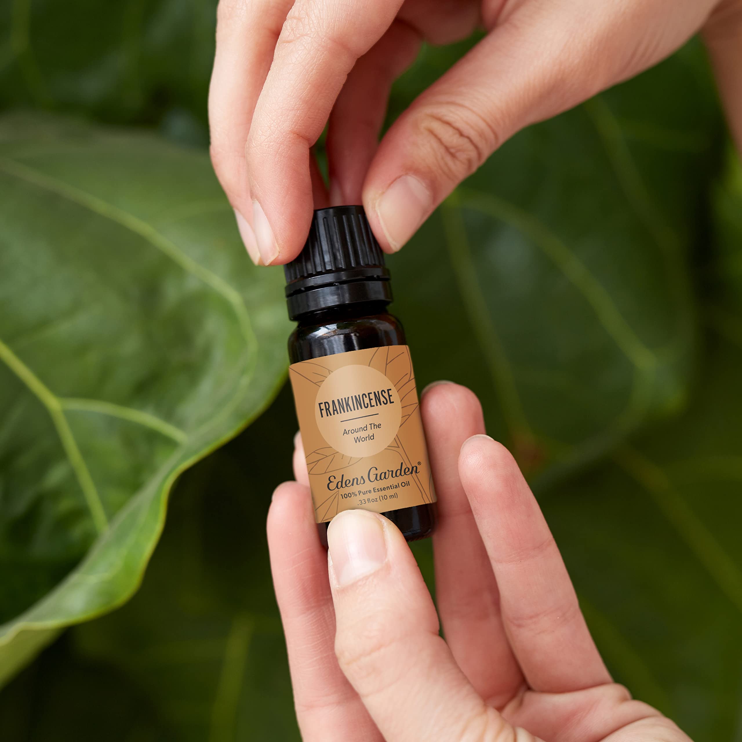Edens Garden Frankincense Around the World in a diffuser setup for aromatherapy benefits