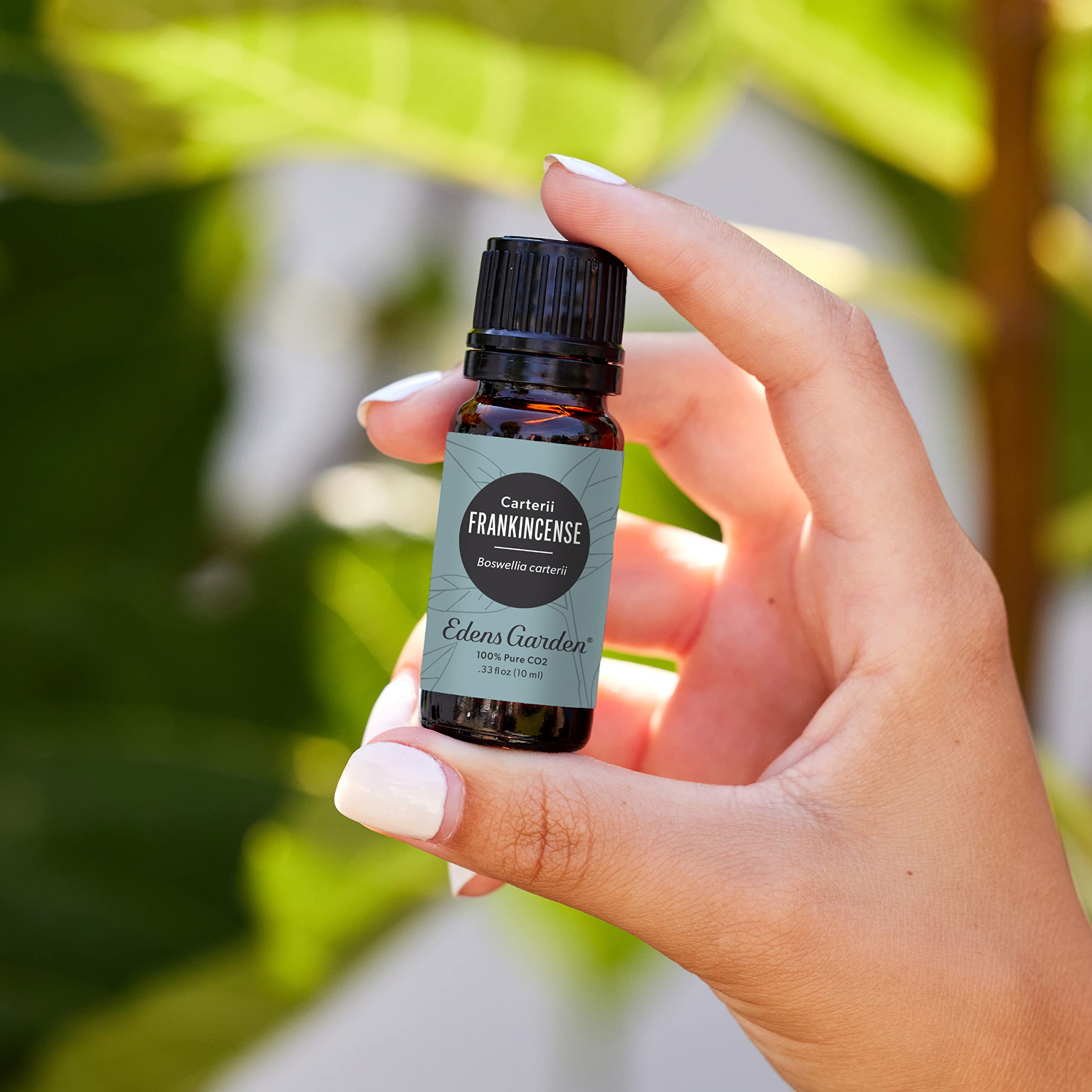 Edens Garden Frankincense CO2 diffuser in use for tranquil space.