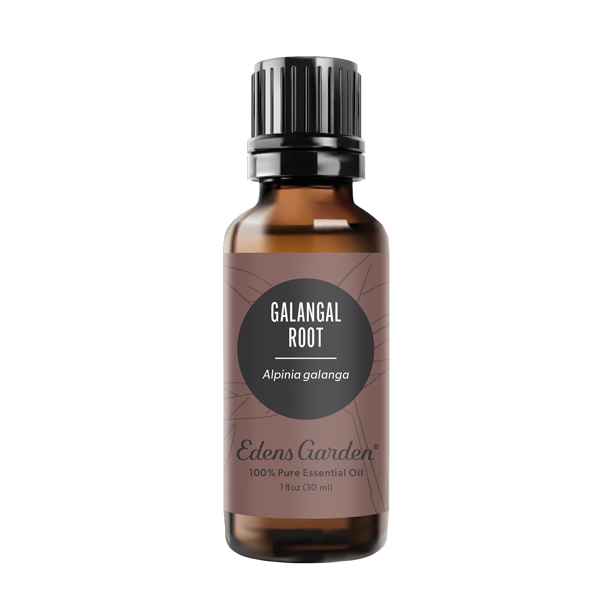 Edens Garden Galangal Root essential oil bottle ready for diffusion.