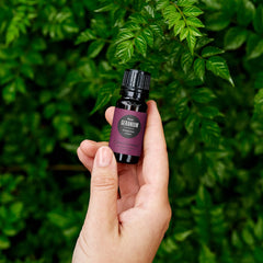 Edens Garden Geranium-Rose oil in diffuser setup promoting calming ambiance