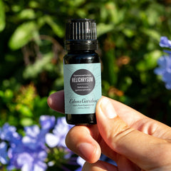 Edens Garden Helichrysum Gymnocephalum dropper bottle for precise topical blends.