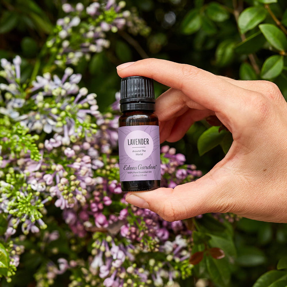 Edens Garden Lavender Around The World dropper highlighting convenient topical application