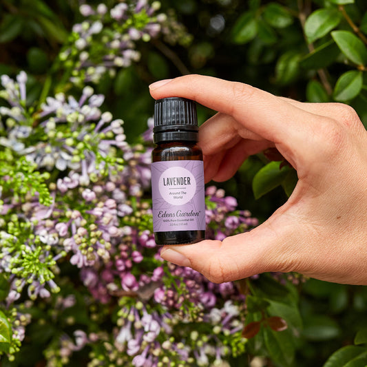 Edens Garden Lavender Around The World dropper highlighting convenient topical application