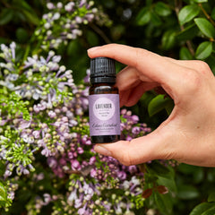 Edens Garden Lavender Around The World dropper highlighting convenient topical application