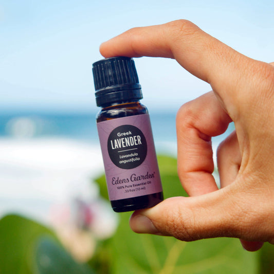 Edens Garden Lavender Greek diffuser setup for a tranquil evening atmosphere.